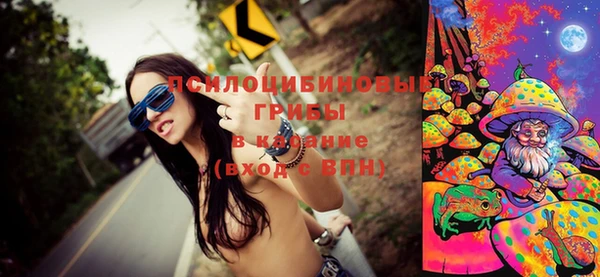 дмт Кинешма