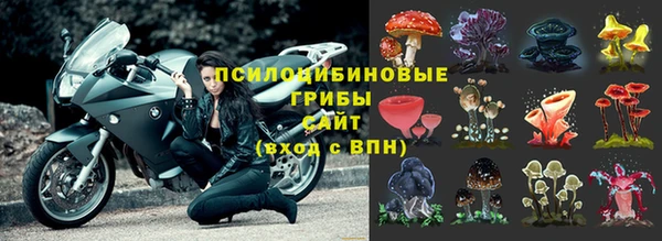 дмт Кинешма