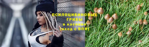 МДПВ Касимов