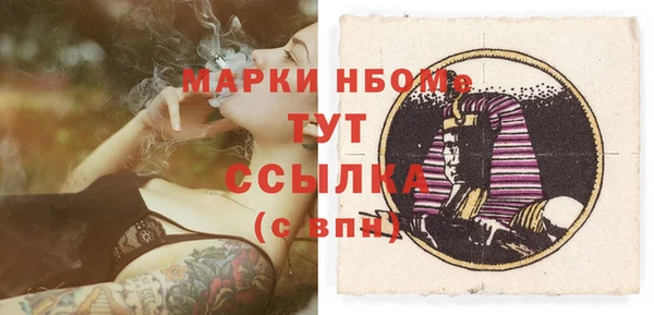 МДПВ Каменногорск
