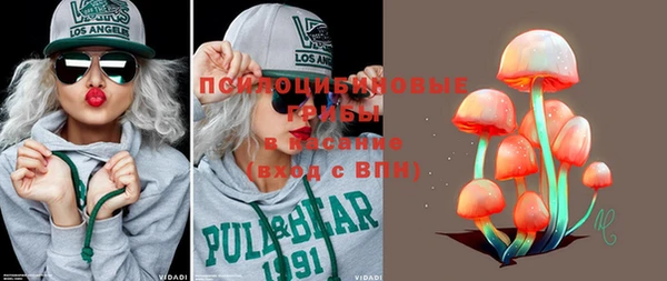 apvp Карпинск