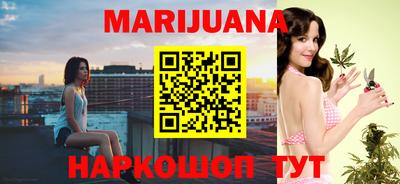 сатива Гатчина