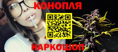 сатива Гатчина