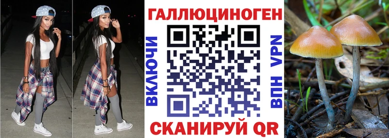 Псилоцибиновые грибы мицелий  магазин продажи наркотиков  Березники 